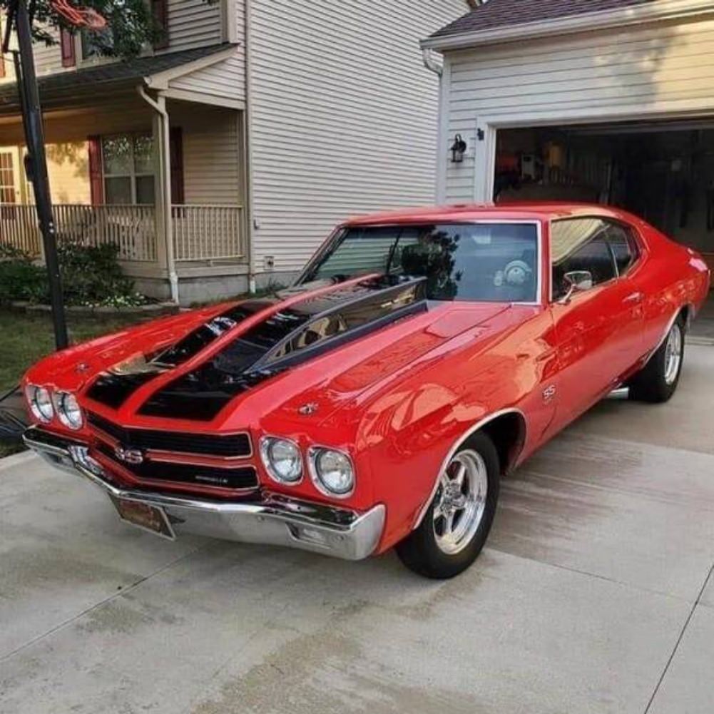Cars Cars Cars