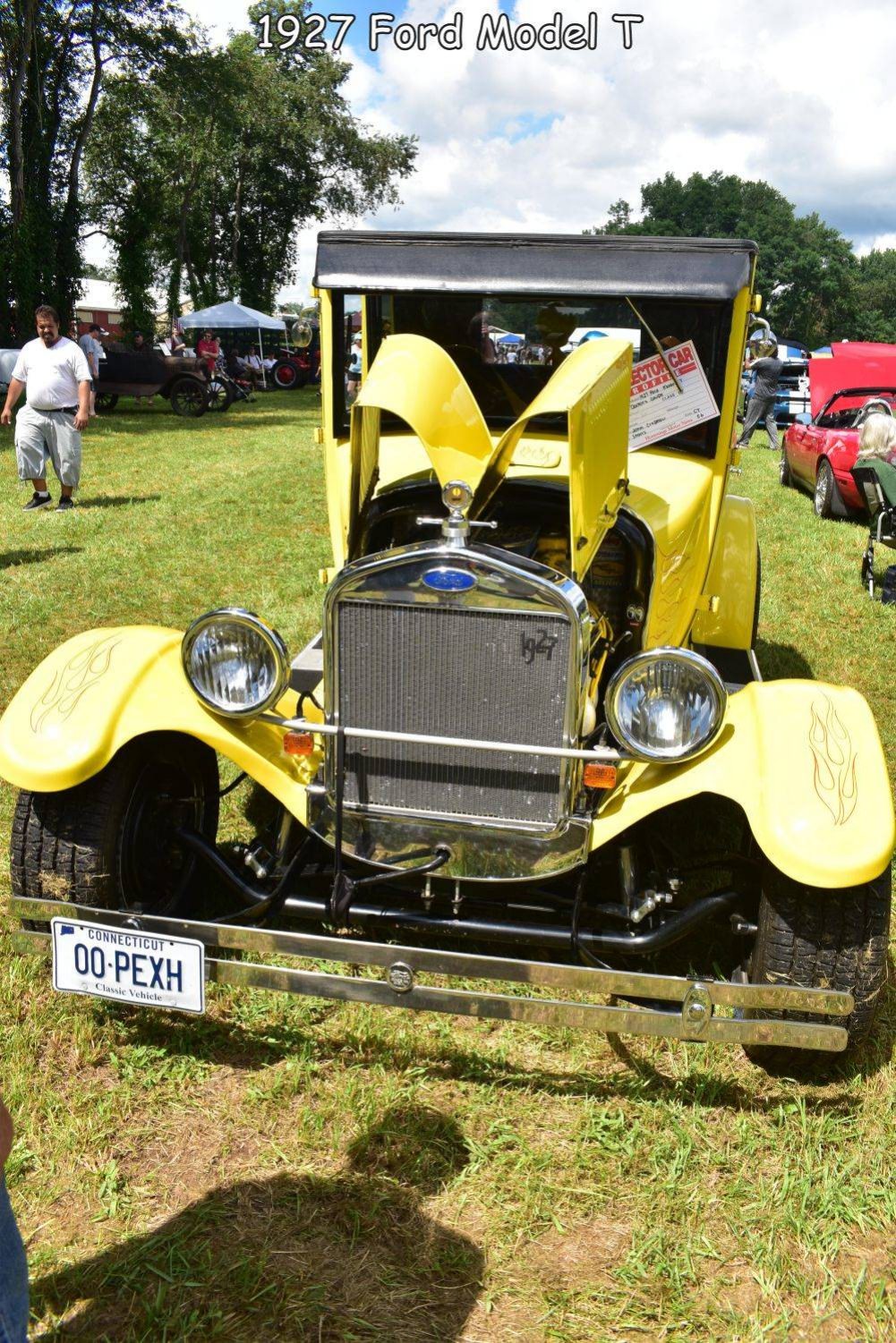 Cars Cars Cars