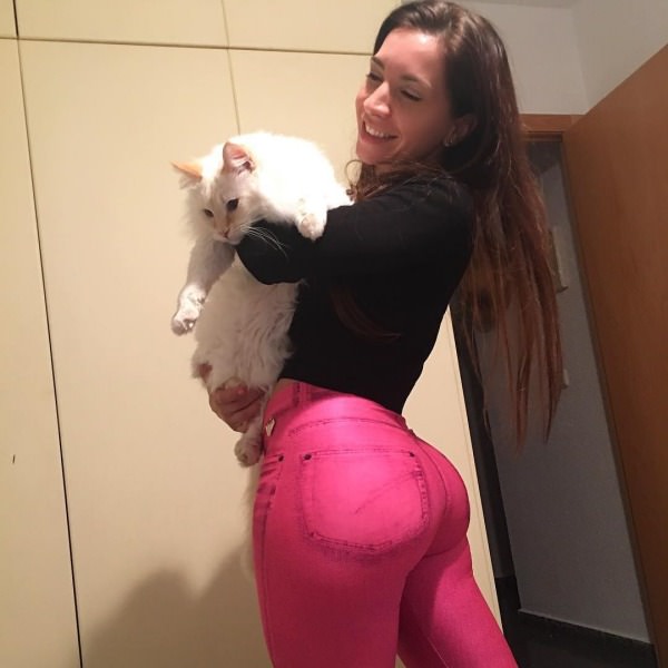 cats