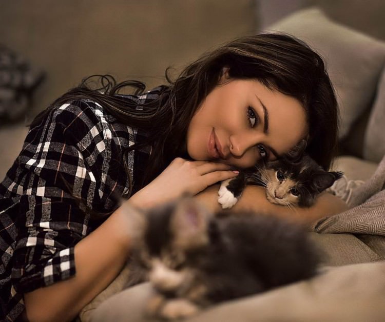 Cats