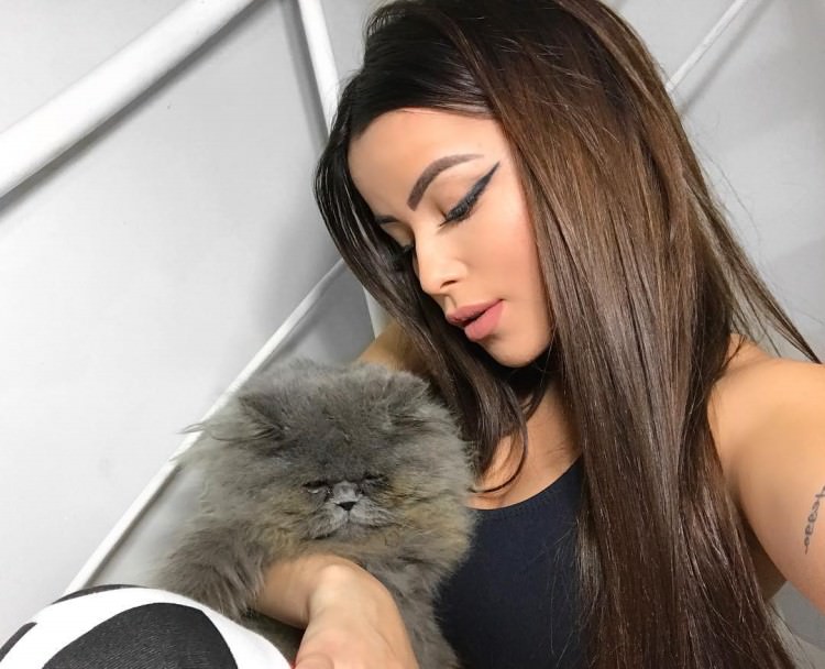 Cats