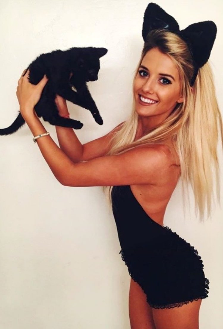 Cats
