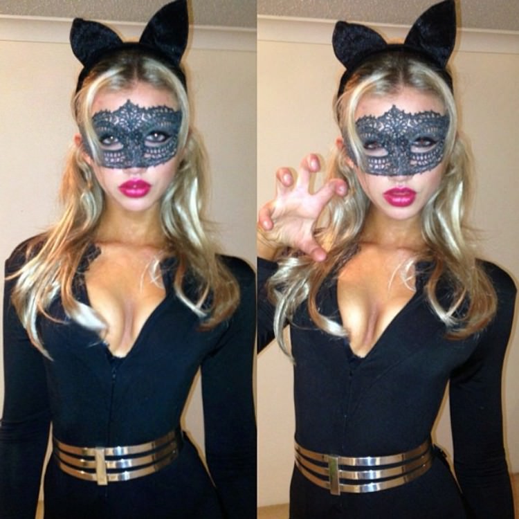 Cats