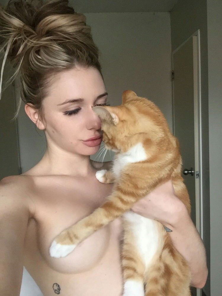 Cats