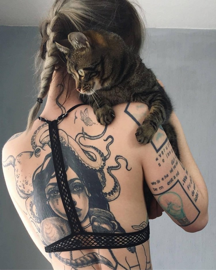 Cats