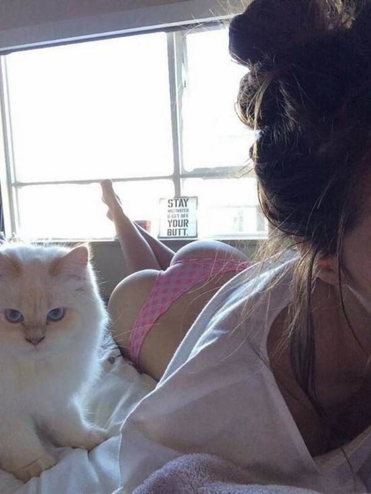 Cats