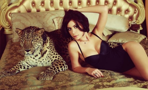 Cats