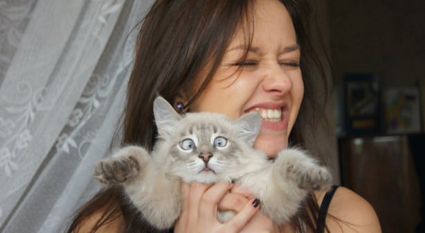 Cats