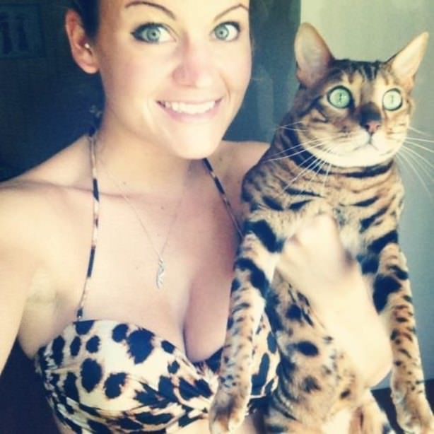 Cats