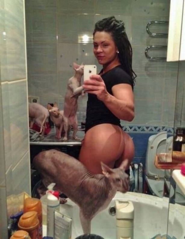 Cats