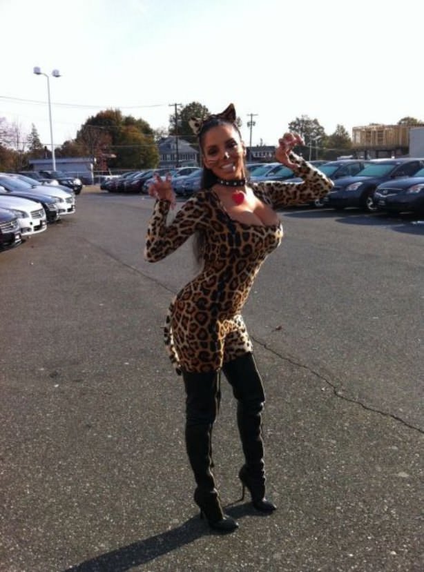 Cats