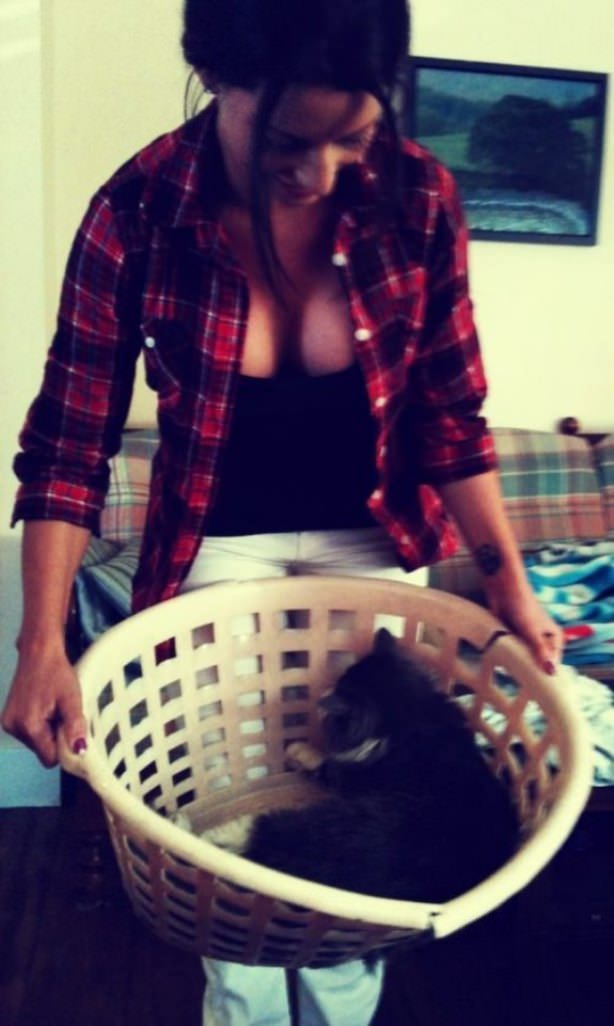 Cats