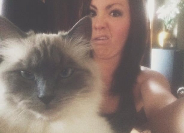 Cats