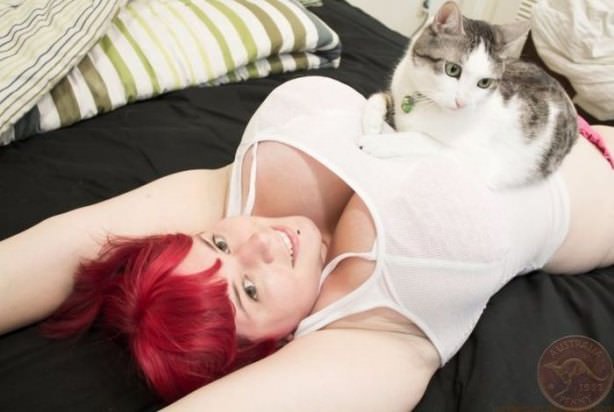Cats