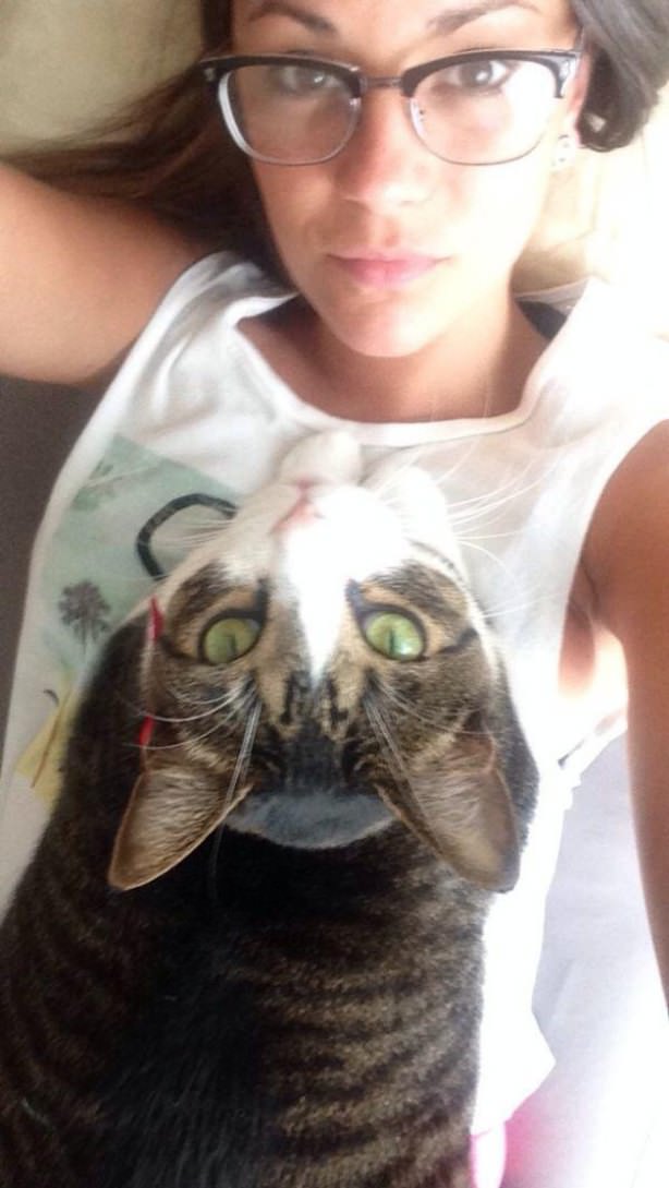 Cats