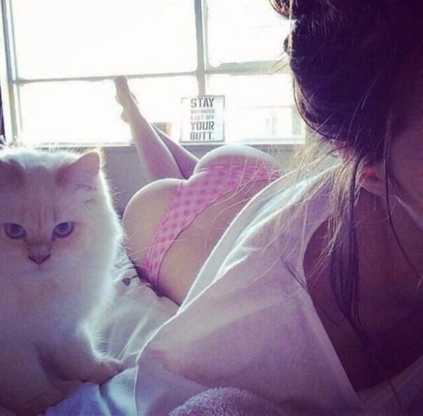 Cats