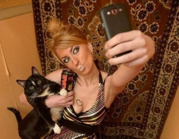 Cats