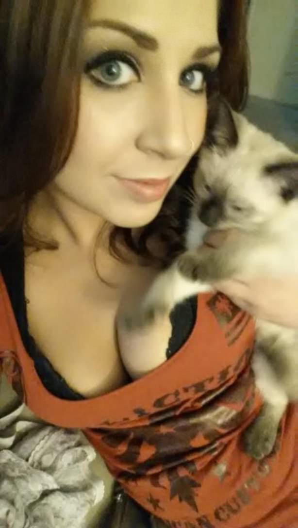 Cats