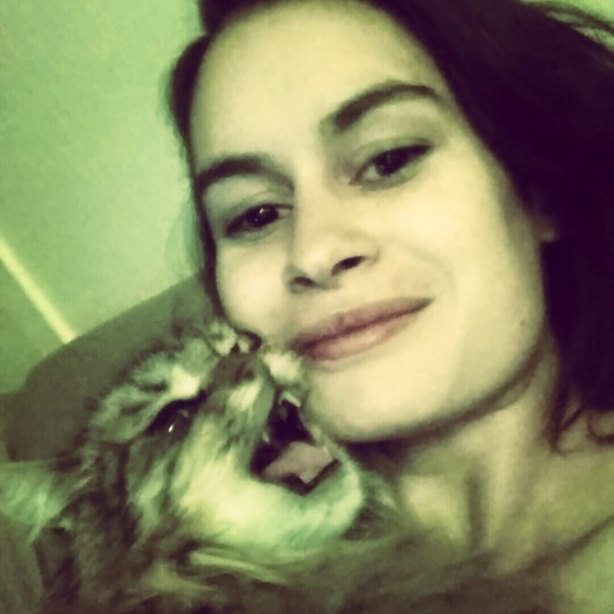 Cats