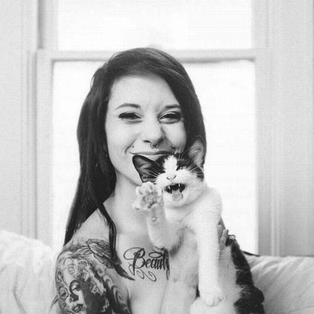 Cats