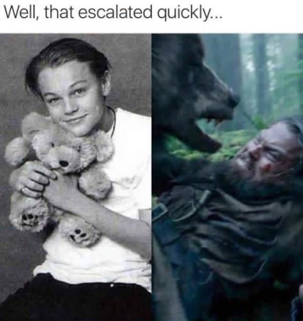 celebrities