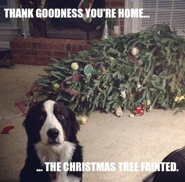 xmas