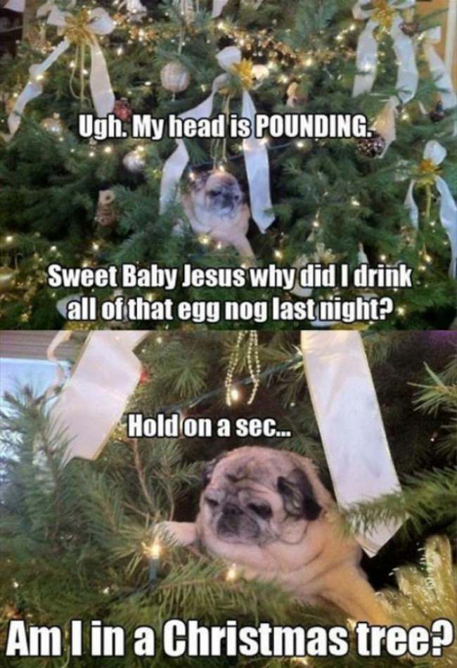 Merry Christmas.
