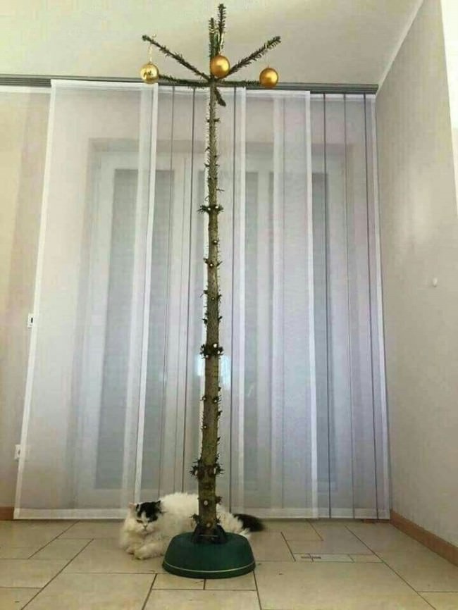 Merry Christmas.