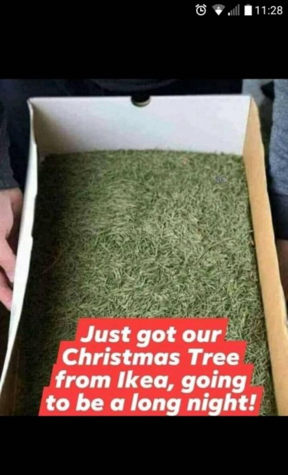 Merry Christmas 2021