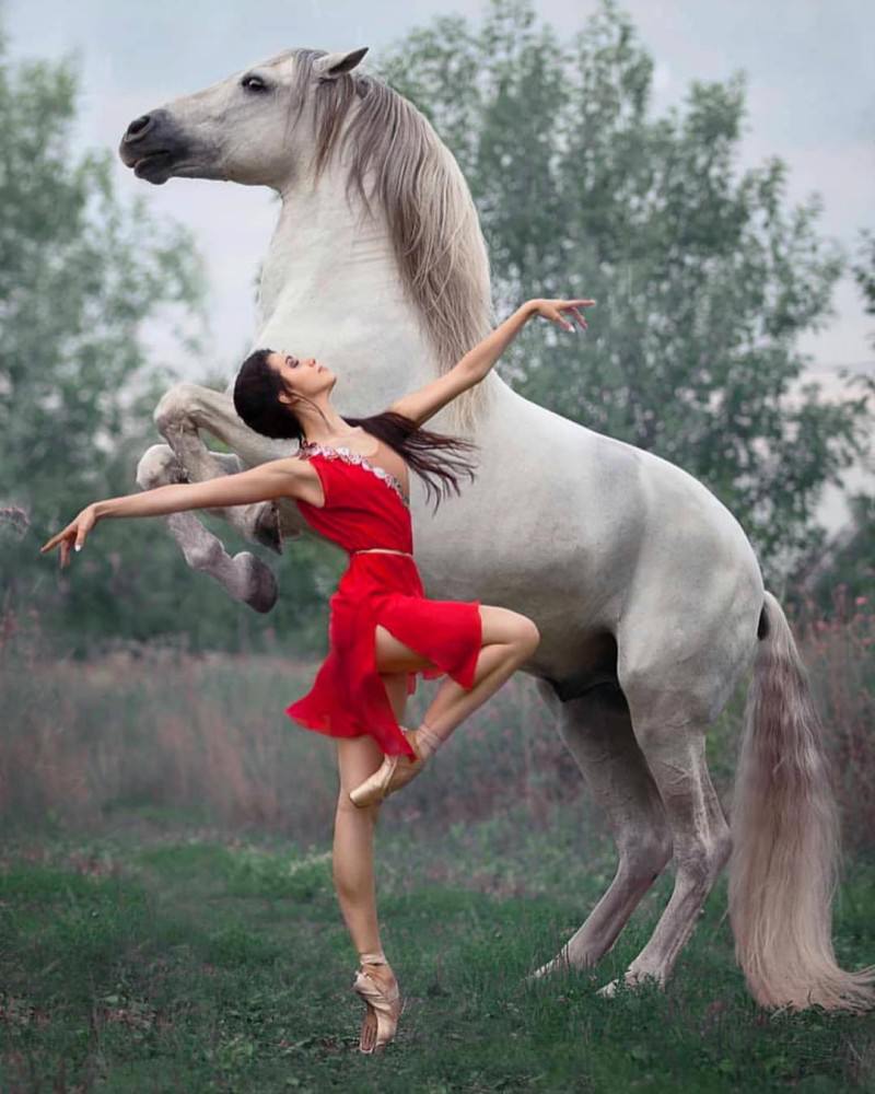 Cool Stuff Picdump