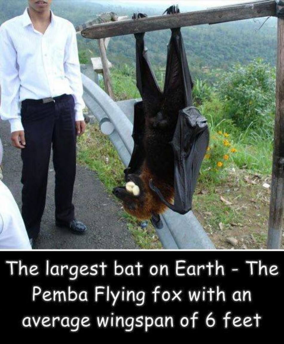 Cool Stuff