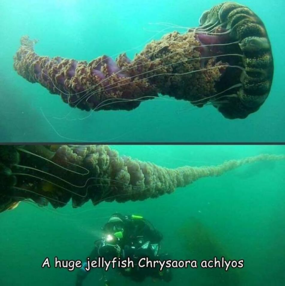 Cool Stuff