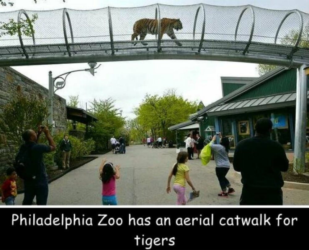 Cool Stuff