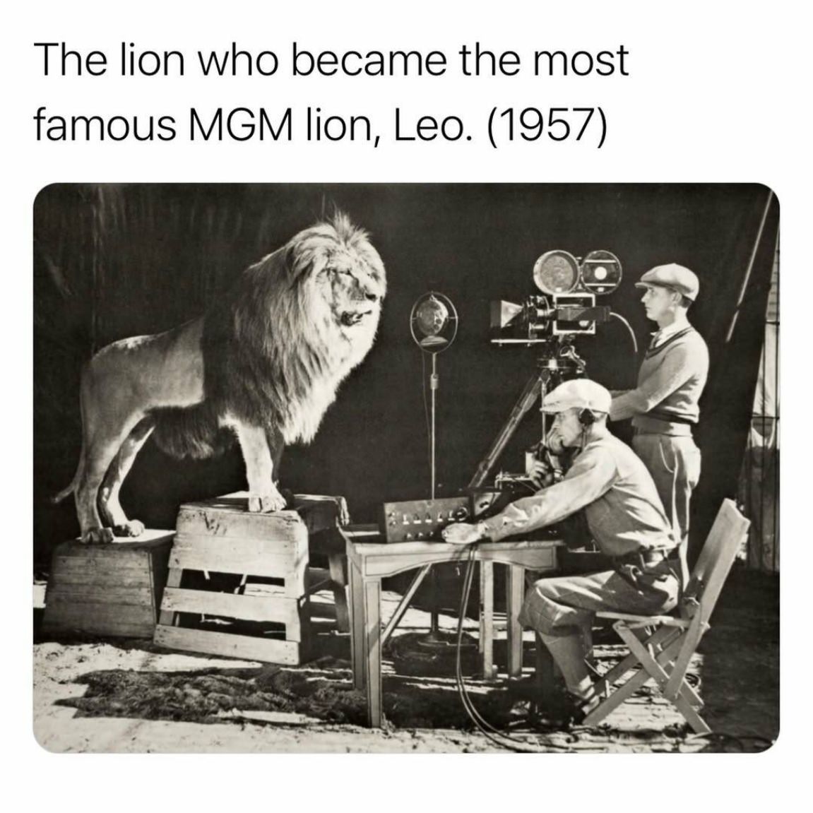Cool Stuff