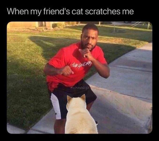 You Animal