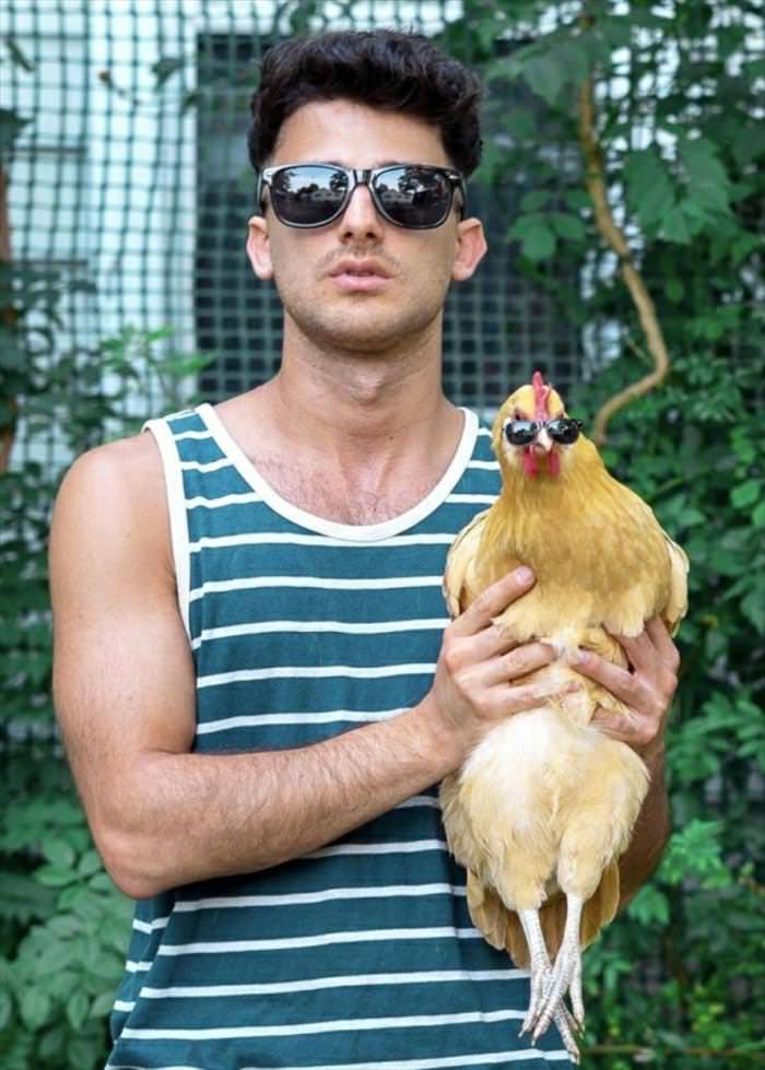 You Animal