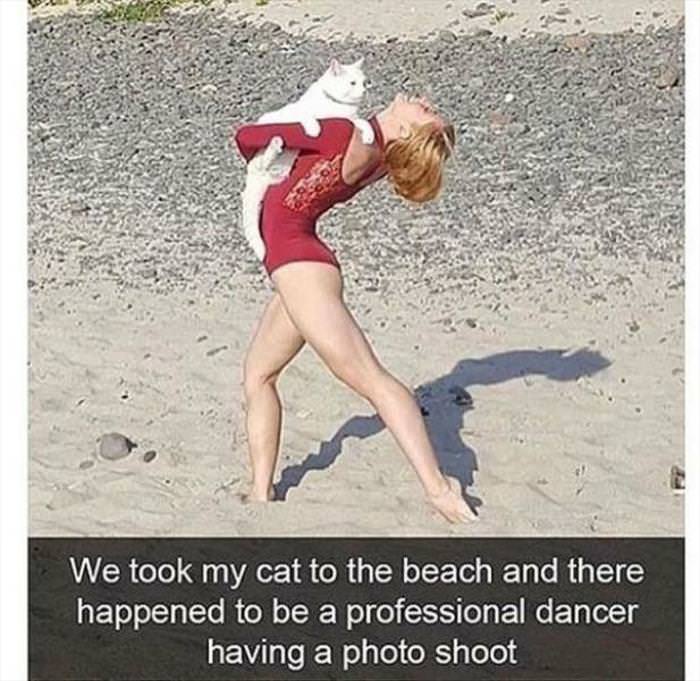 You Animal