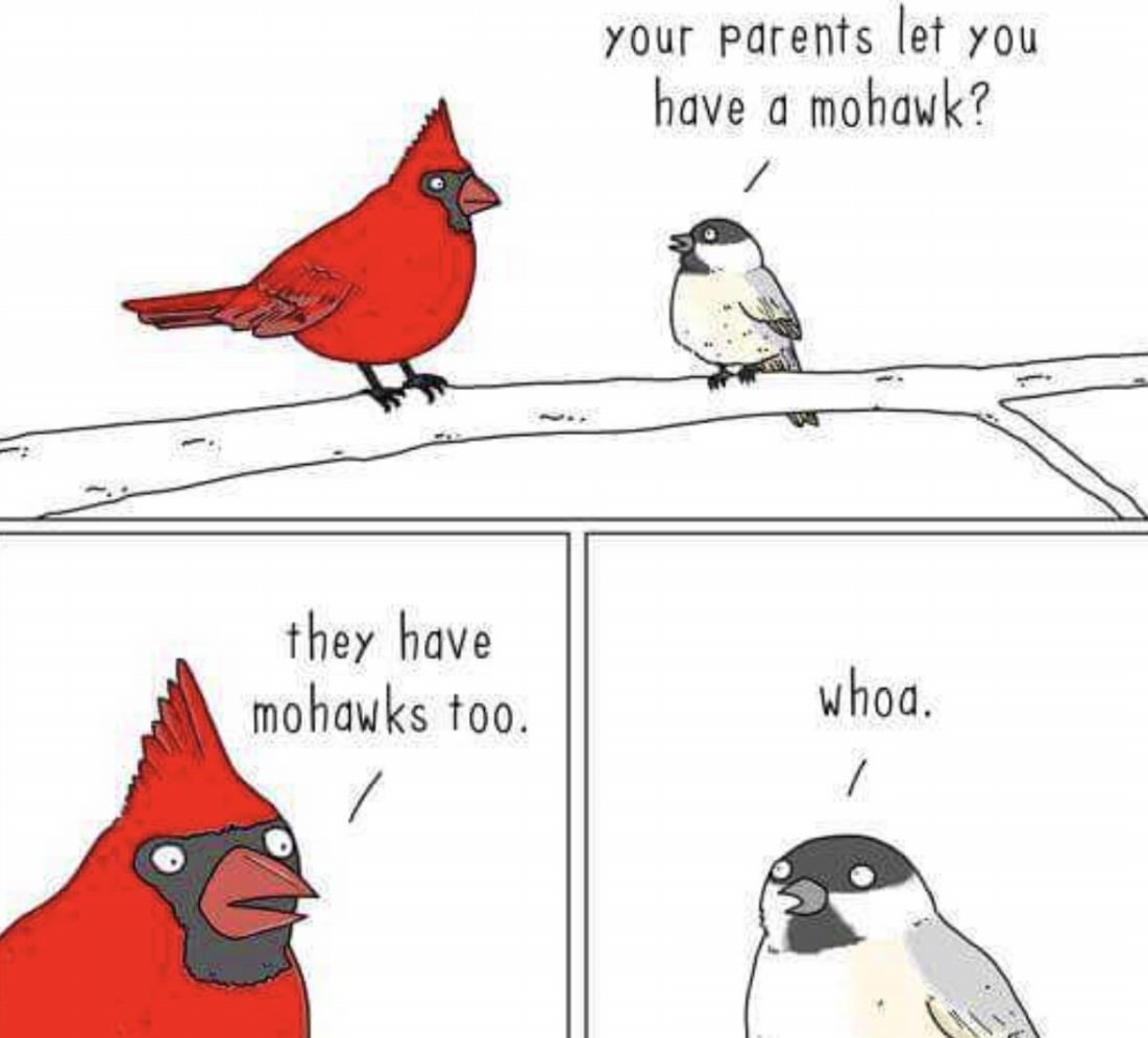 Cool Animals