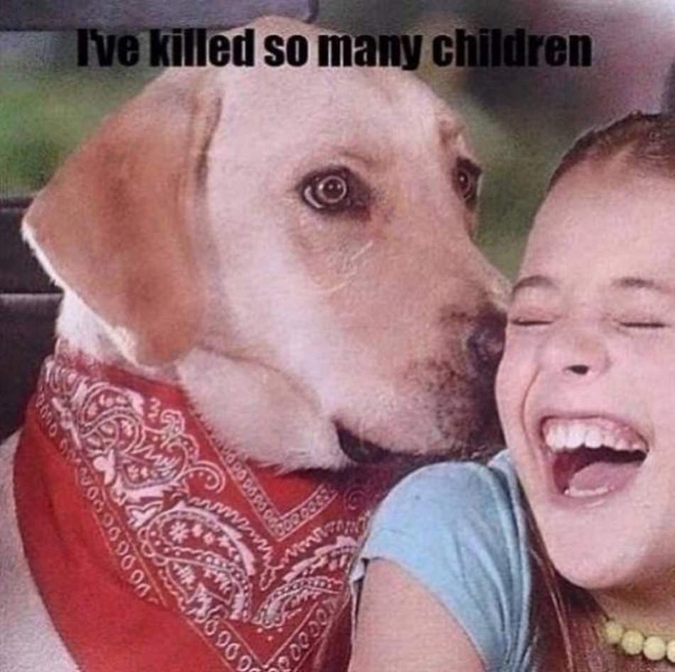 You Animal