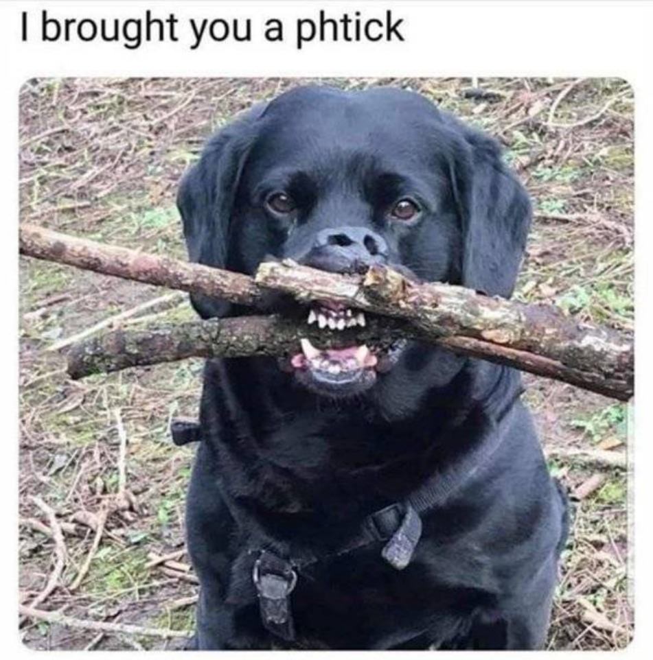 You Animal
