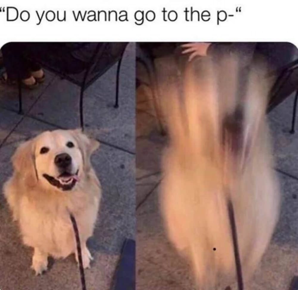 Cool Animals
