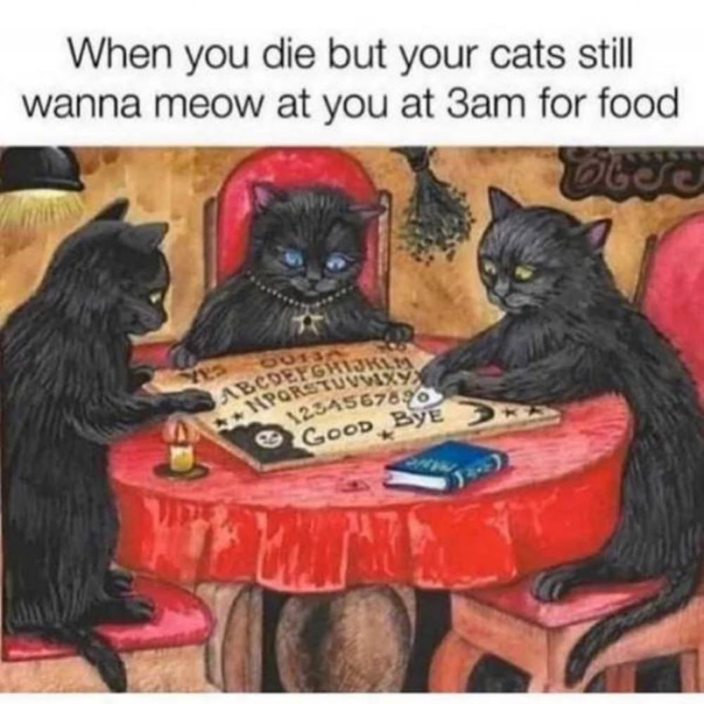 You Animal