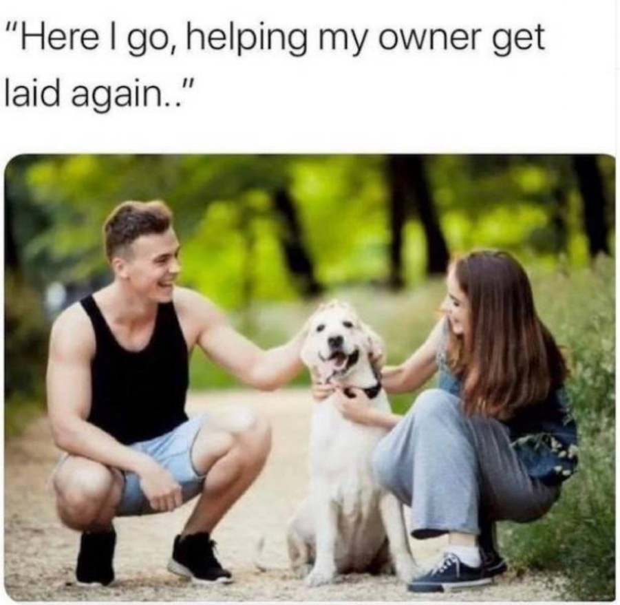 You animal