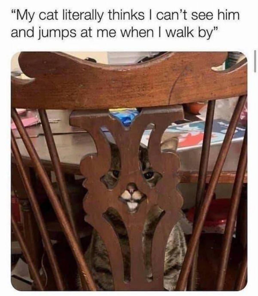 You animal