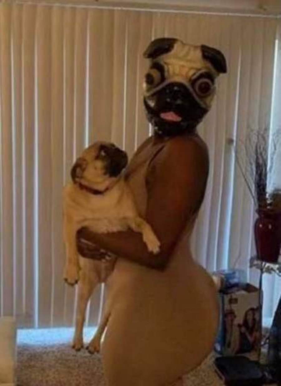 You animal