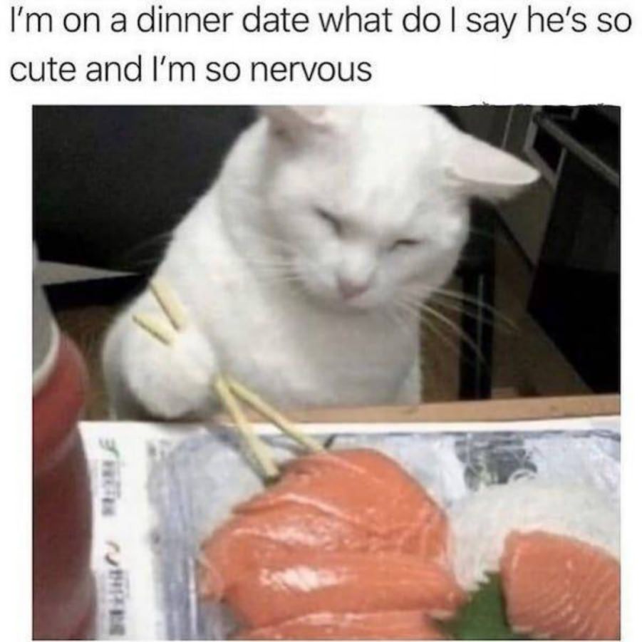 You animal