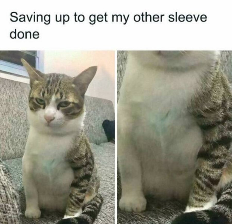 You animal