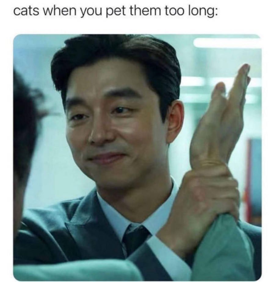 You animal