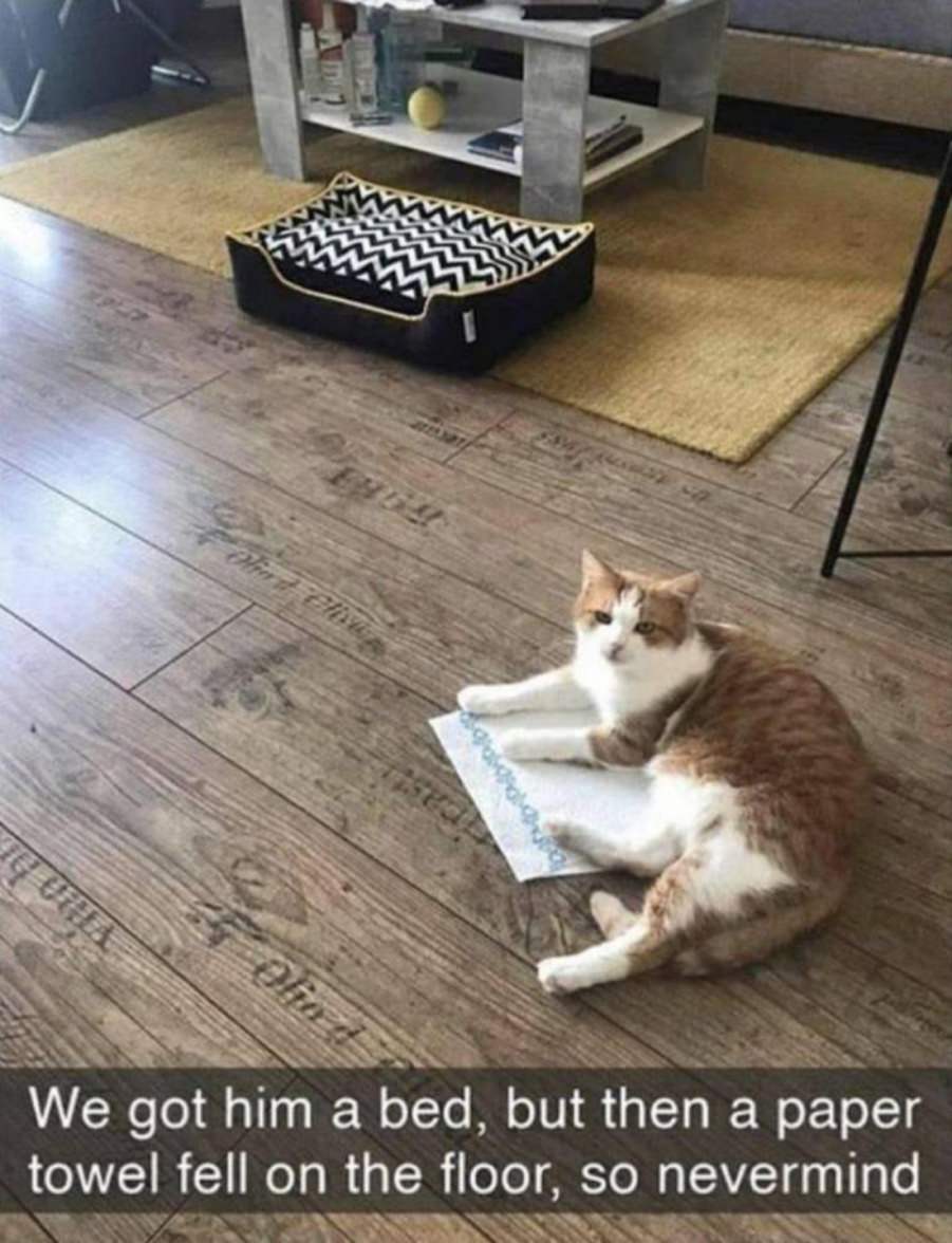 You animal