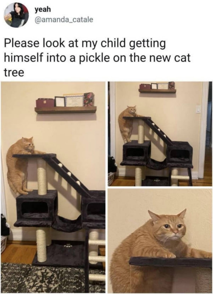 You animal